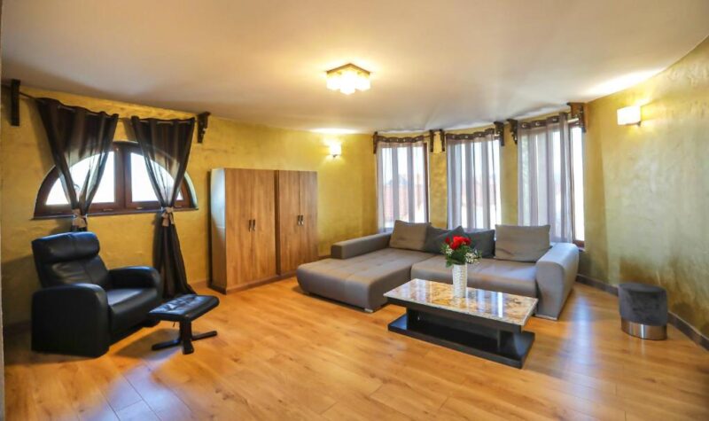 studio-king-cu-o-canapea-extensibila-transilvania-mansion-brasov.jpeg